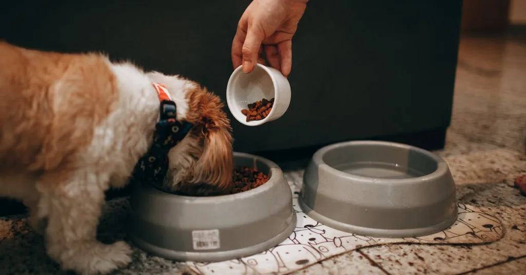 shih tzu chiot - santé