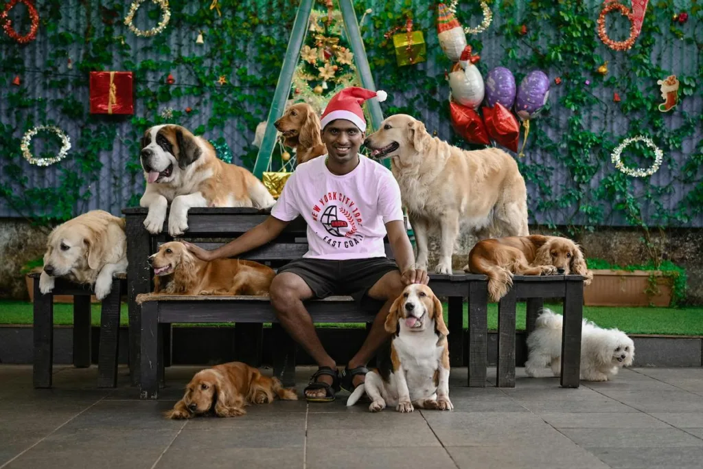 photo : Is the cocker spaniel right for me? Checklist