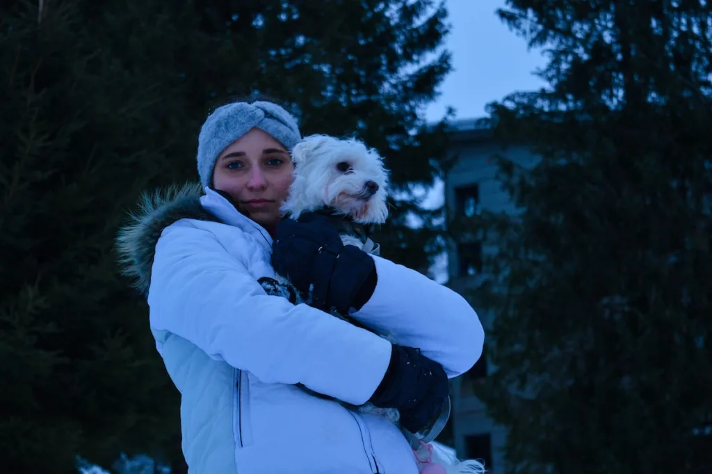 Top 5 des dressages pour un Bichon Maltais prêt pour l’hiver