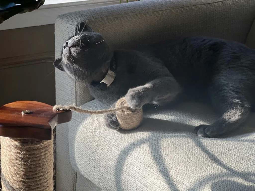 Photo : Le bleu russe est-il fait pour moi ? check-list